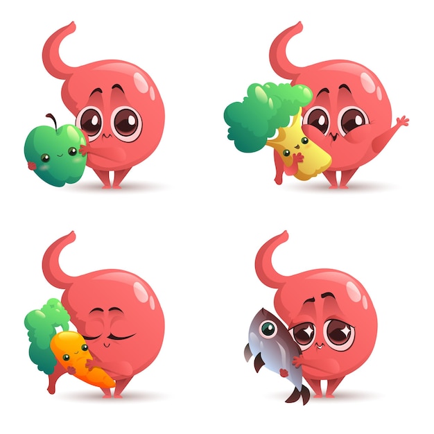 Cute stomach character with healthy food fruit vegetables and fish human gastric with good products 