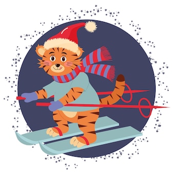 Cute tiger in hat and scarf is skiing. new year character. cartoon vector illustration. Premium Vector