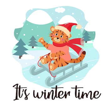 Cute tiger in hat and scarf is sledding its winter time lettering winter greeting card