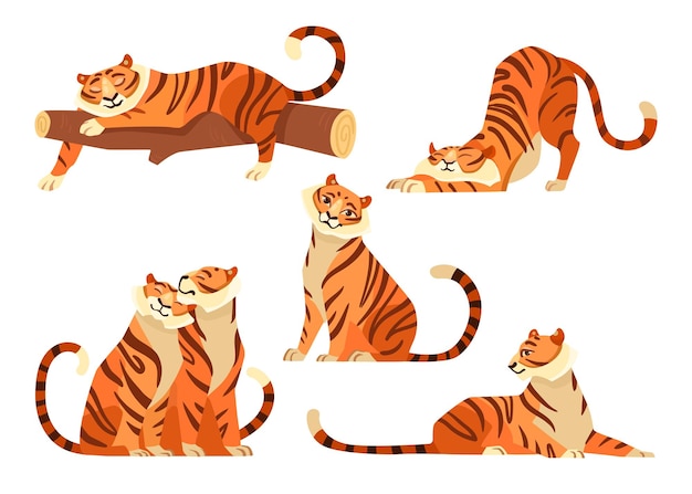 Tigri carine in diverse pose set di illustrazioni per cartoni animati. tigre africana e tigre che si siedono insieme wildcats che si allunga, dormendo sul ramo di un albero. fauna selvatica, concetto di giungla