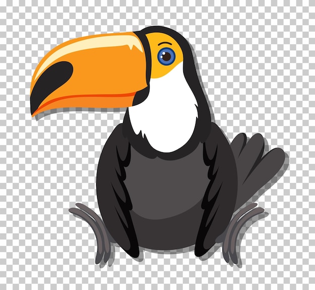 Free vector cute toucan bird in flat cartoon style