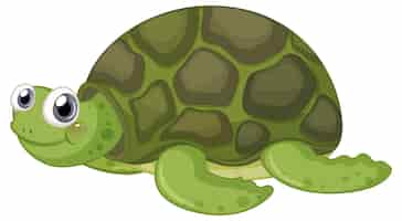 Free vector cute turtle cartoon character on white background