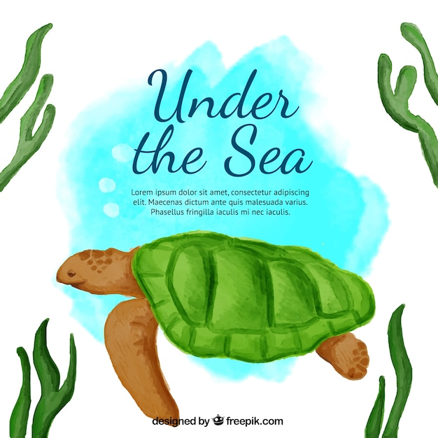 Free vector cute watercolor background with a turtle