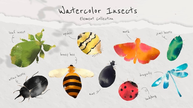 Cute watercolor insects collection