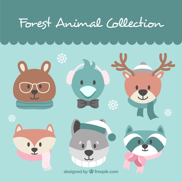 Free vector cute winter animal pack