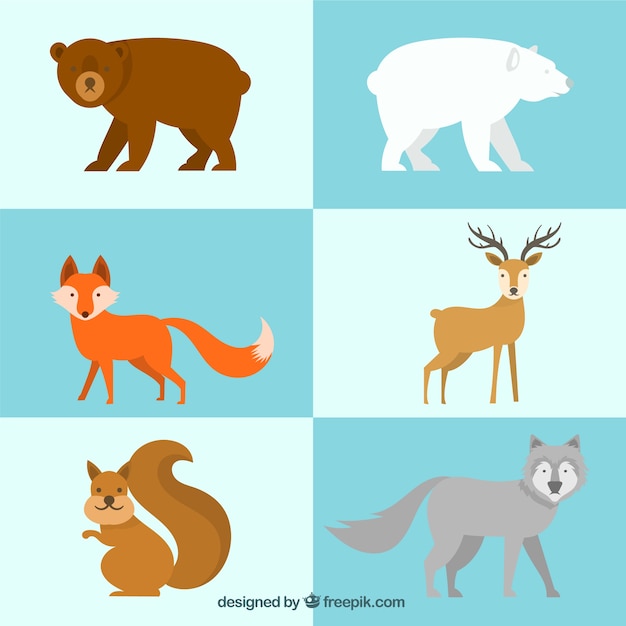 Free vector cute winter animals in flat design