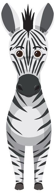 Free vector cute zebra in flat cartoon style