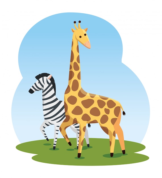 Free vector cute zebra and giraffe wild animals