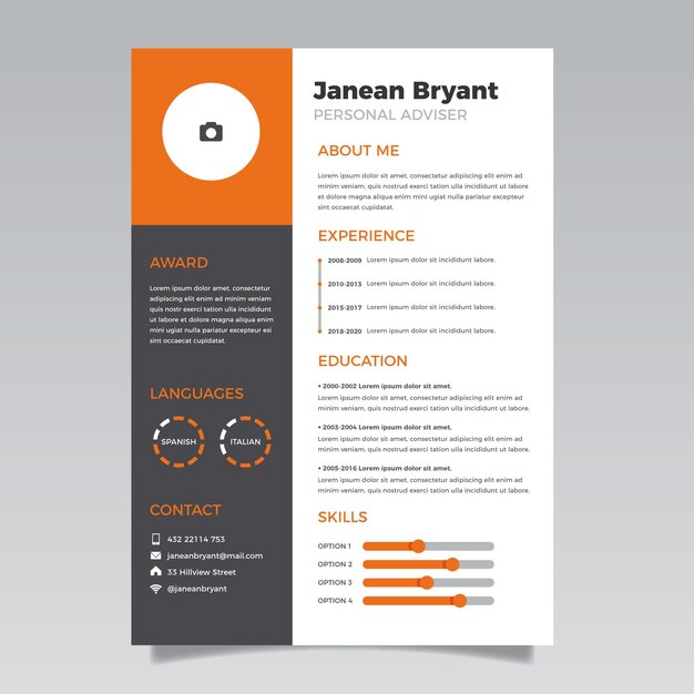 Cv template modern style