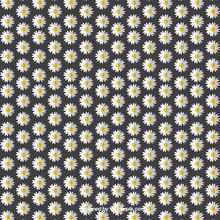 Free Vector daisies over black background
