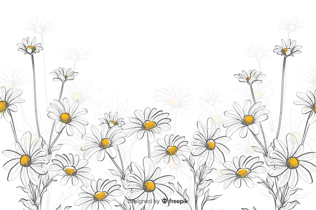 Daisies decorative background watercolor style