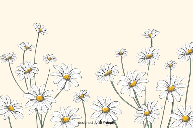 Daisies decorative background watercolor style