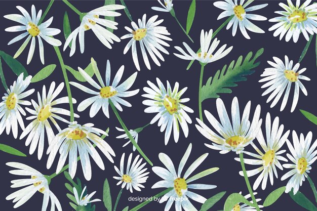 Daisies decorative background watercolor style