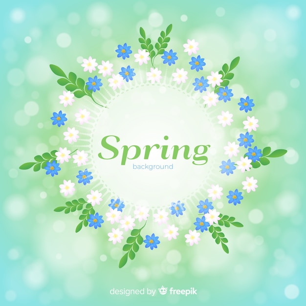 Margherite cornice sfondo primavera