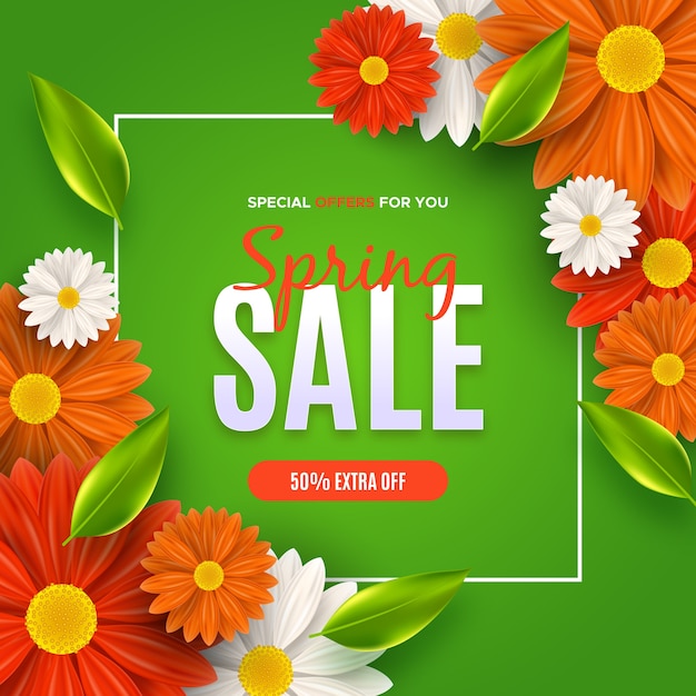 Daisies and gerbera flowers spring sale