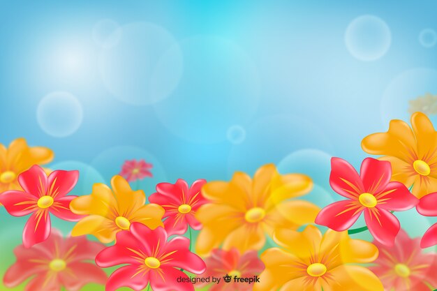 Daisy coloured flowers in a blue light background