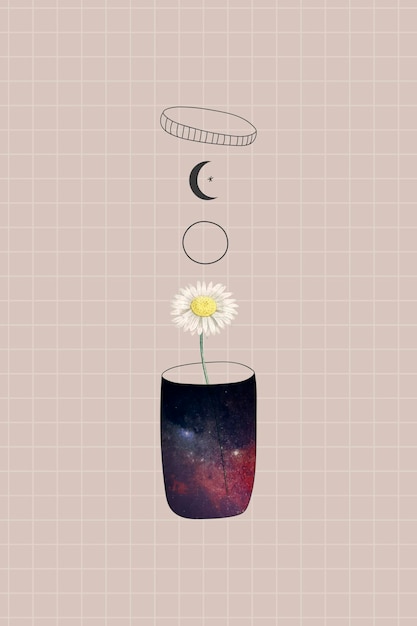 Daisy in a container on a beige background