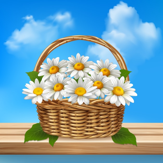 Free vector daisy realistic colored composition