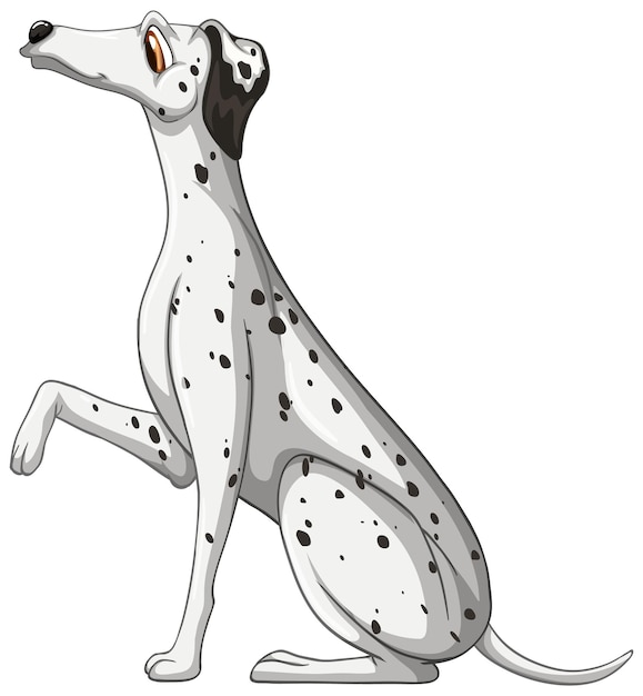 Dalmatian dog cartoon on white background