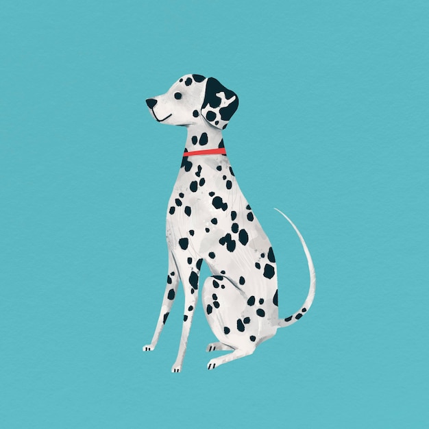 Dalmatian puppy on a turquoise background