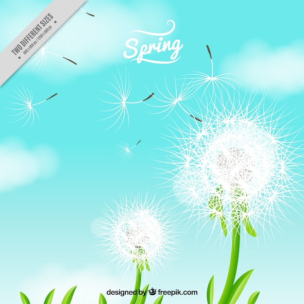 無料ベクター dandelion background in realistic style