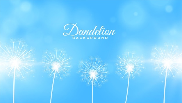 dandelion flower seeds on blue background