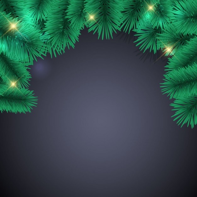 Free vector dark background with pine branches