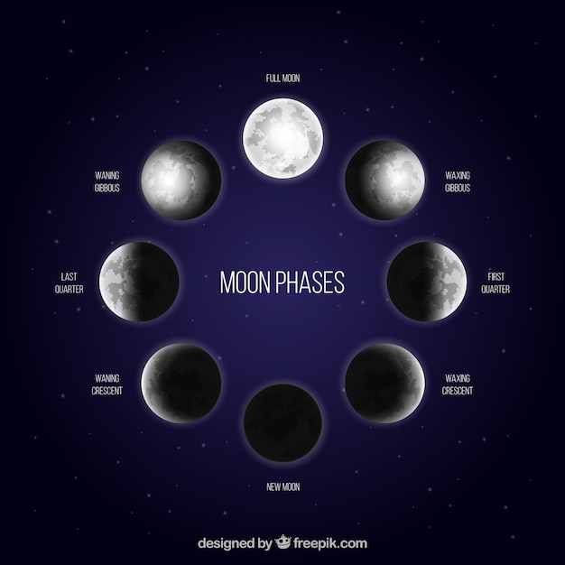 Dark blue background with moon phases in realistic design