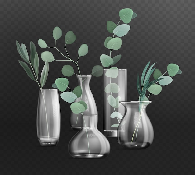 Free vector dark transparent background with green bunches of eucalyptus in different glass vases realistic vector illustration