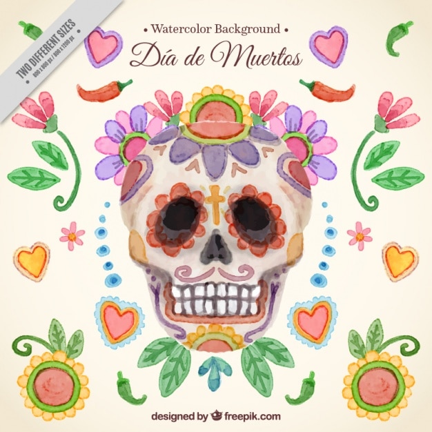 Free vector day of the dead watercolor skull background