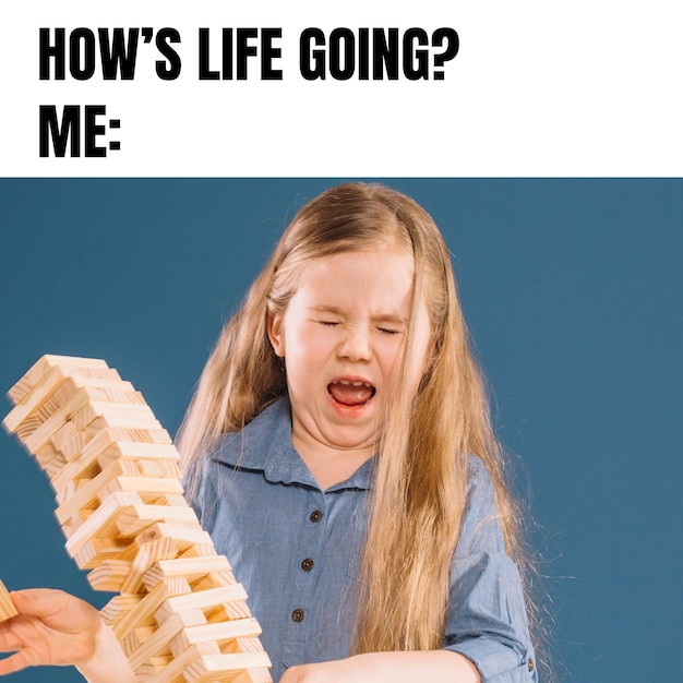 Dealing with life meme