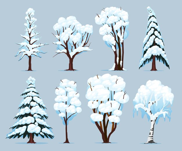 Лиственные и хвойные виды деревьев с заснеженными ветвями зимой на синем фоне изолированные векторные иллюстрации