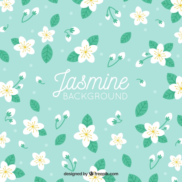 Decorative background with jasmine