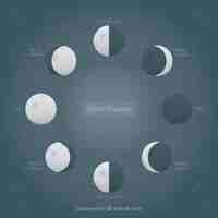 Free vector decorative background with stars and moon phases