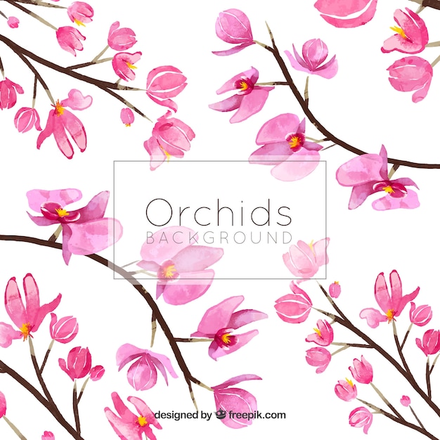 Free vector decorative background with watercolor flowers