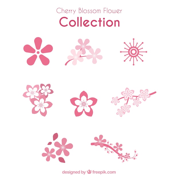 Decorative cherry blossoms in flat design