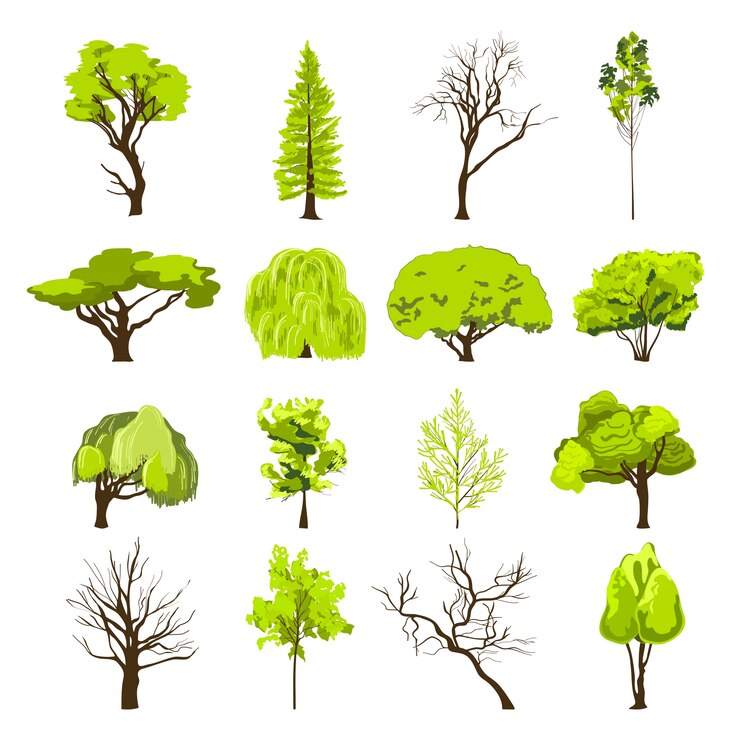 Free Vector decorative deciduous foliage and conifer forest park trees silhouette abstract design icons set sketch isolated vector illustration