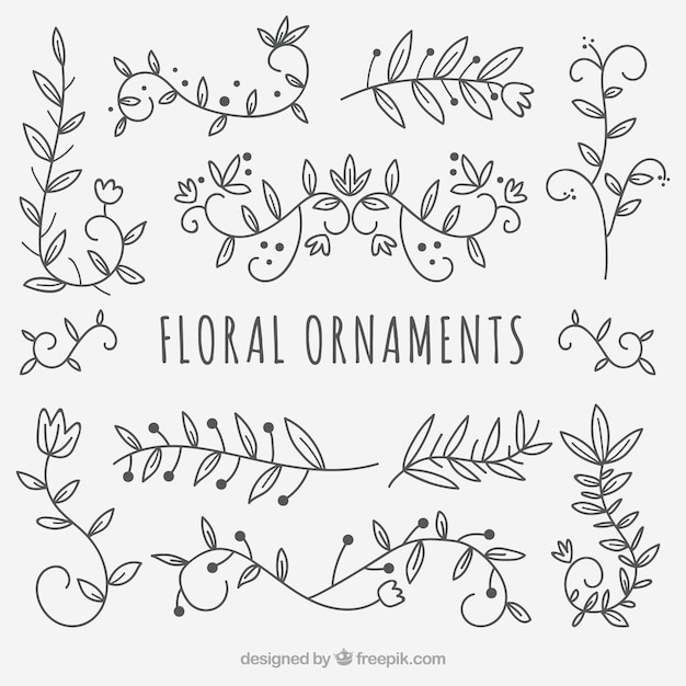 Elementi decorativi di ornamenti floreali