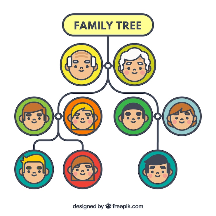Free Vector decorative family tree with circles in different colors