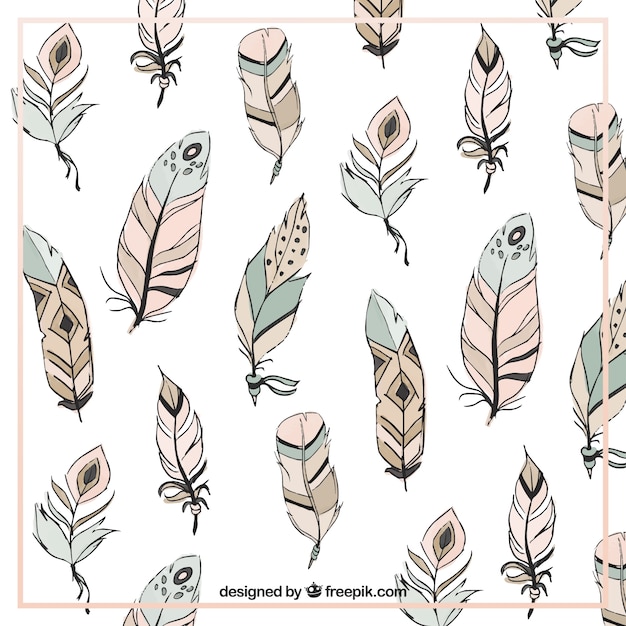 Free vector decorative feathers background in boho style