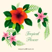 Free vector decorative floral element background