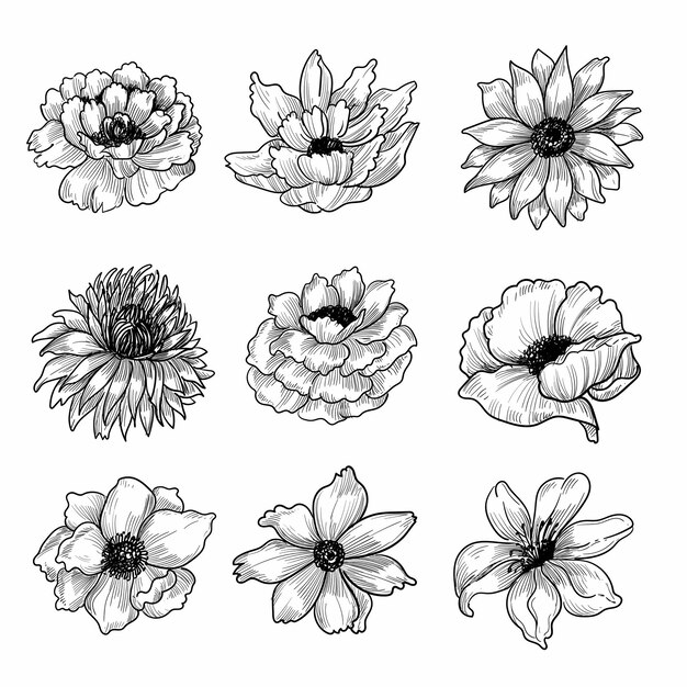 Decorative floral sketch set design