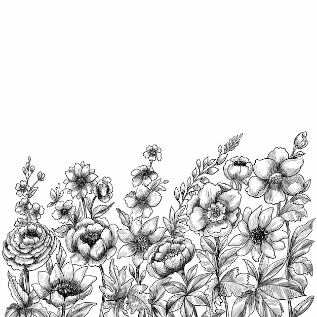 Free vector decorative floral sketch