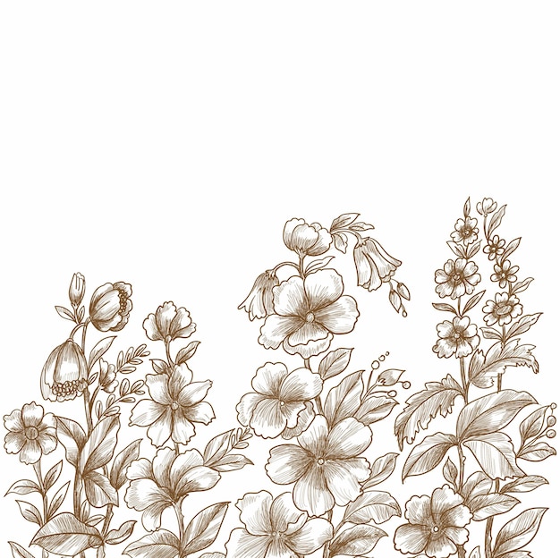 Free vector decorative floral sketch