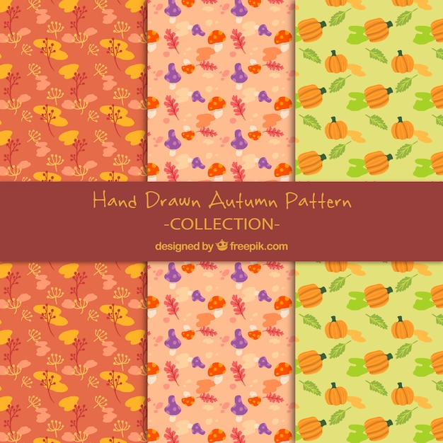 Free Vector decorative hand-painted autumn patterns 