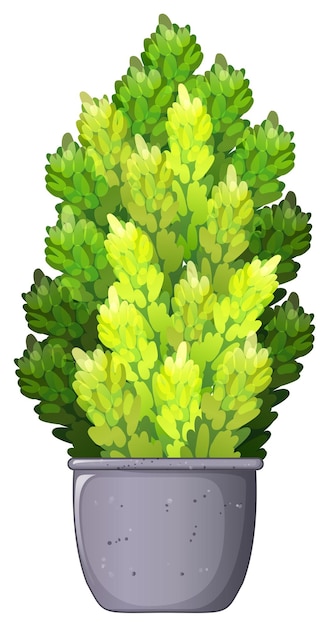 Free vector a decorative houseplant