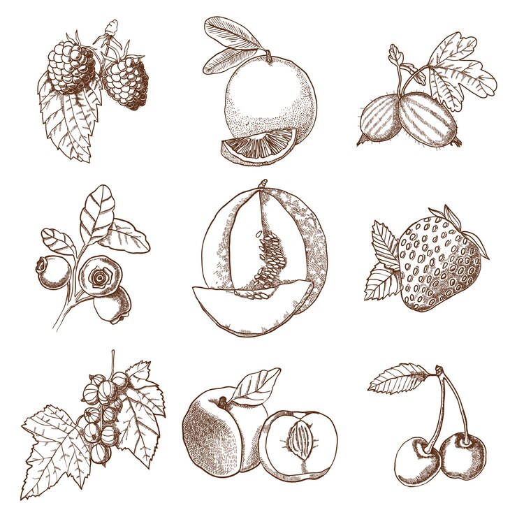Free Vector decorative icons set