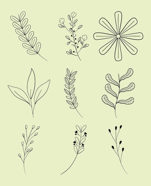 decorative leaves and flowers icon set