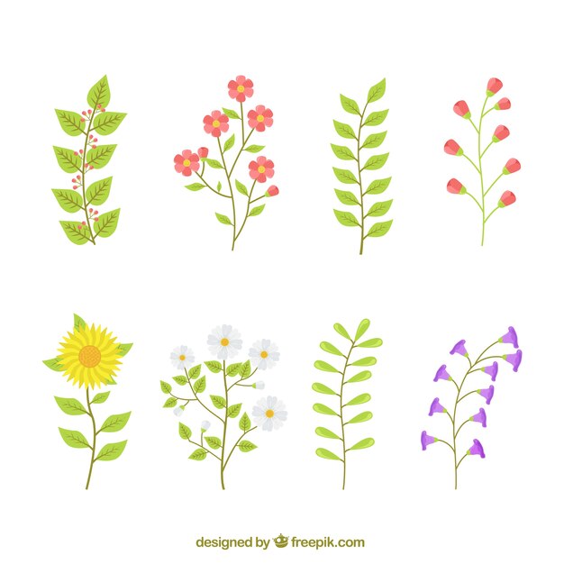 Decorative pack of fantastic flowers