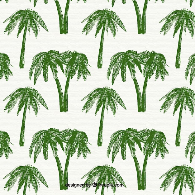 Decorative pattern with green palm trees